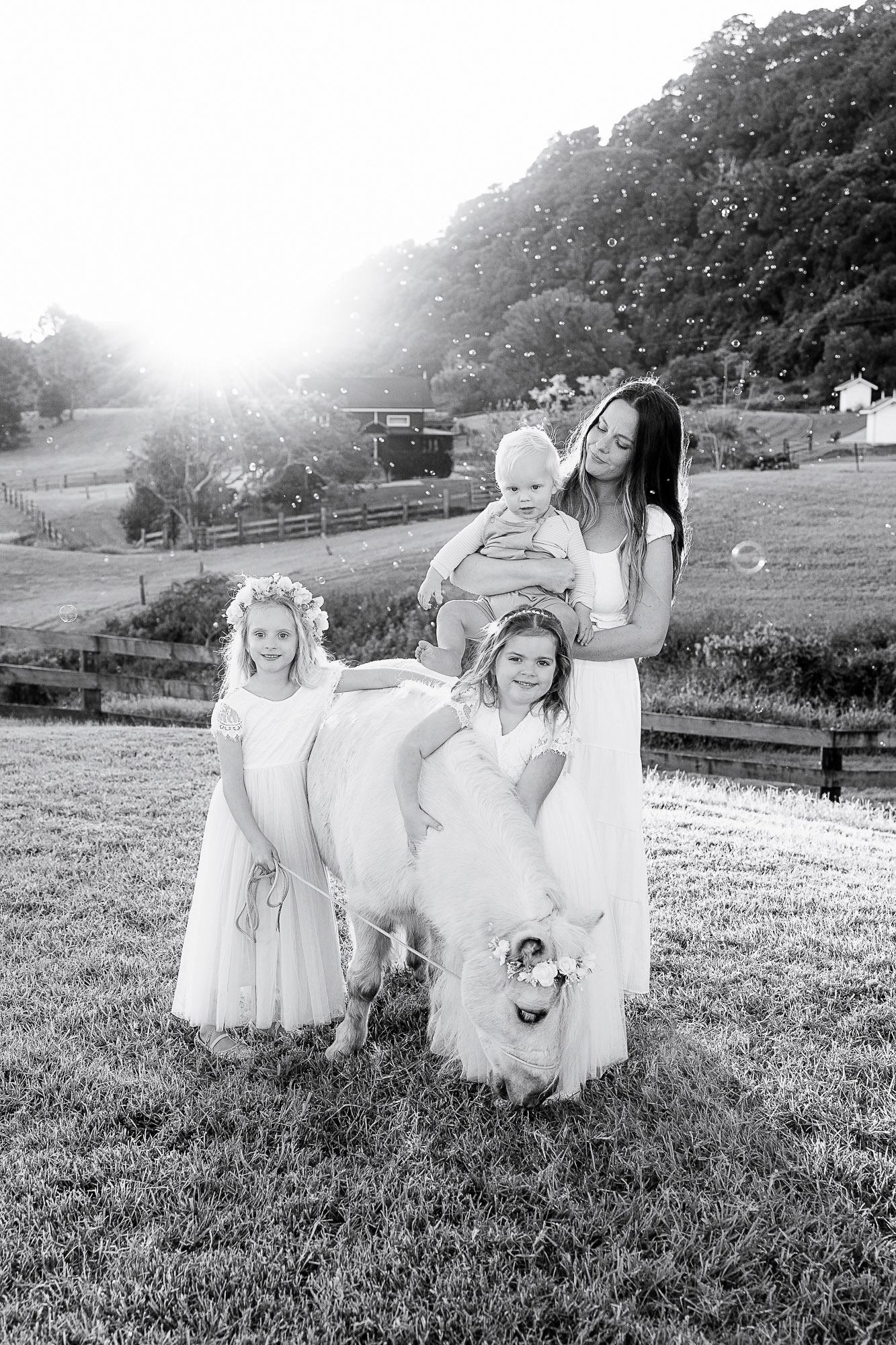 Mother and her three children posing with a horse during a family photoshoot at The Maleny Old Dairy in the Sunshine Coast Hinterland.